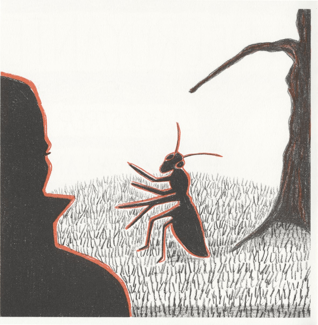 enregistrer sous LA LANGUE • Paille