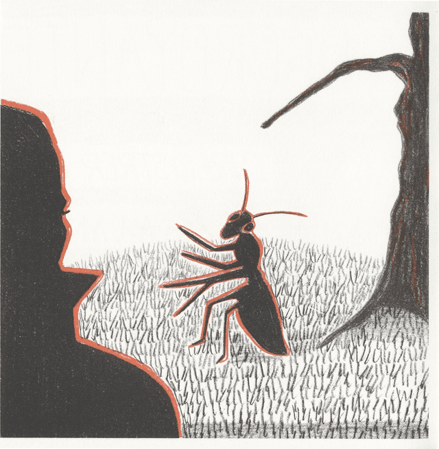 enregistrer sous LA LANGUE • Paille